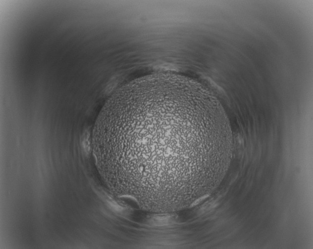 X0000075390479200609151759