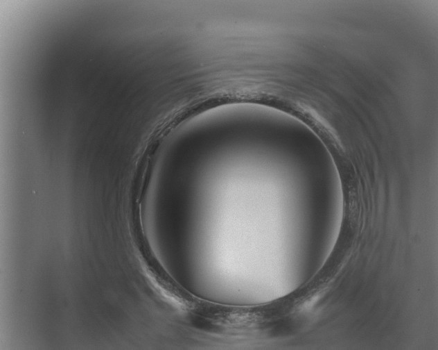 X0000075390493200609151758