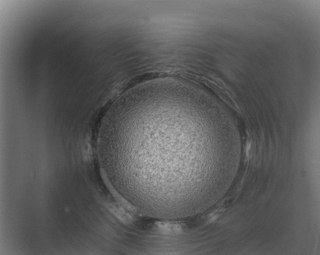 X0000075390520200609151758