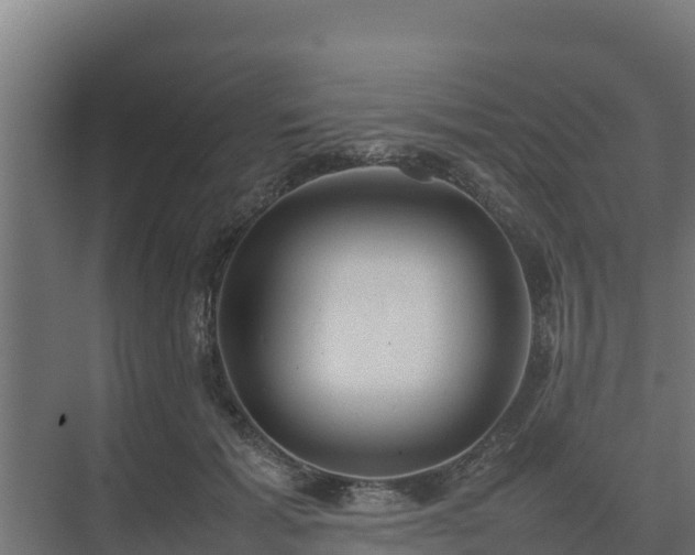 X0000075390605200609151756