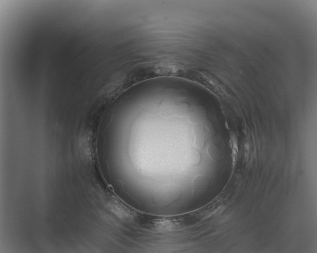 X0000075390616200609151756