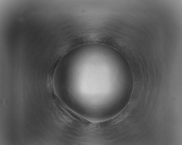 X0000075390624200609151756