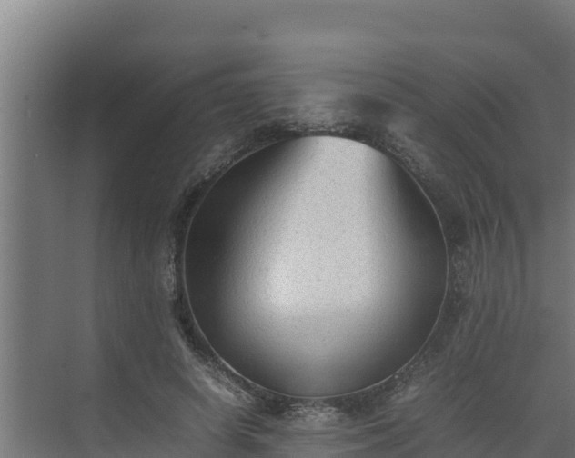 X0000075390642200609151755