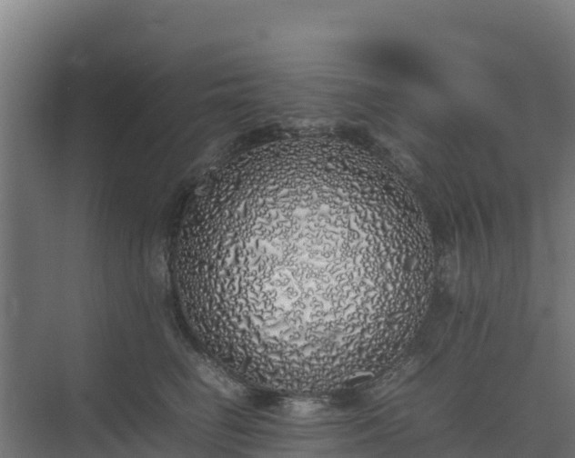 X0000075390662200609151756