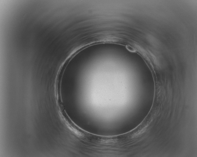 X0000075390843200609151752