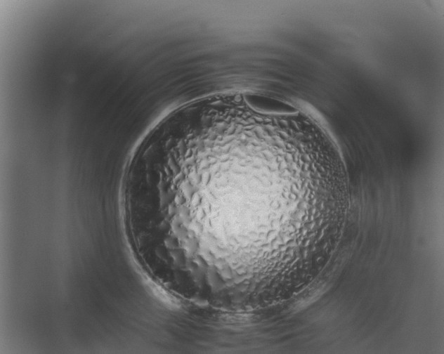 X0000075390859200609151753