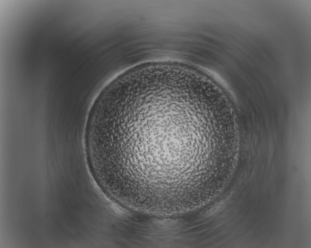 X0000075390943200609151751