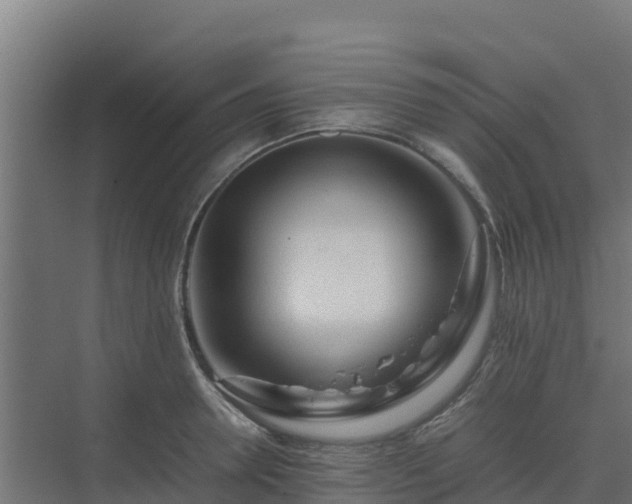 X0000075390946200609151751
