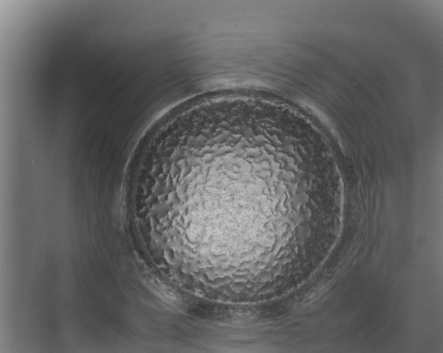 X0000075390975200609151750