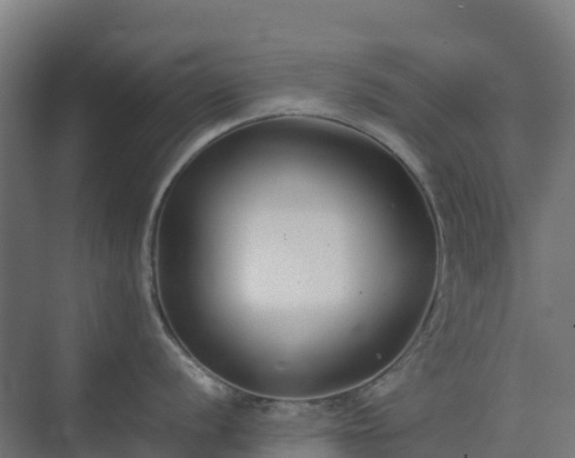 X0000075391056200609151749