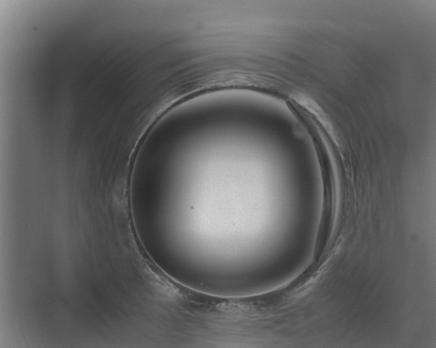 X0000075391089200609151748