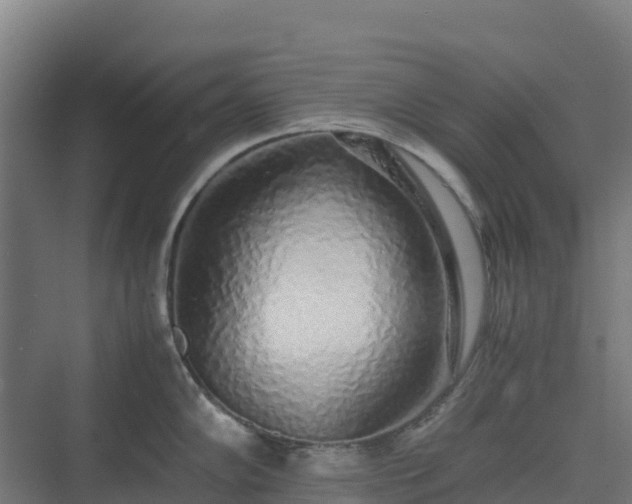 X0000075391102200609151748