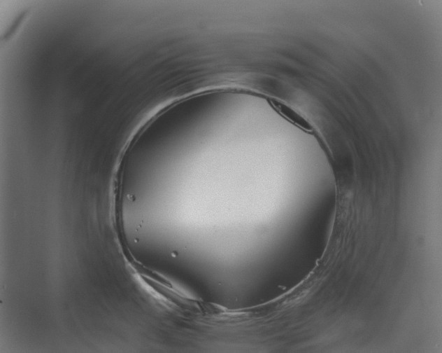 X0000075391151200609151748