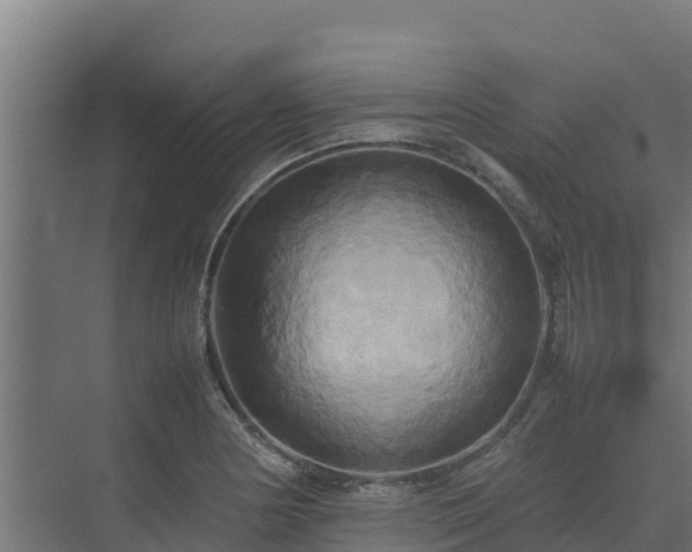 X0000075391178200609151747
