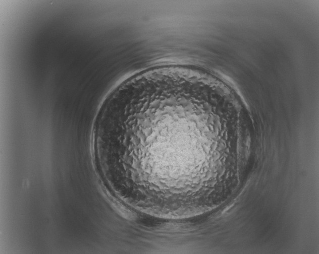 X0000075391179200609151747