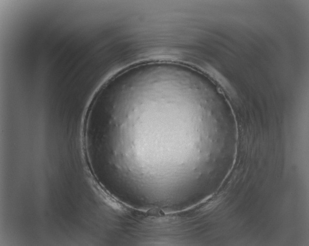 X0000075391240200609151746