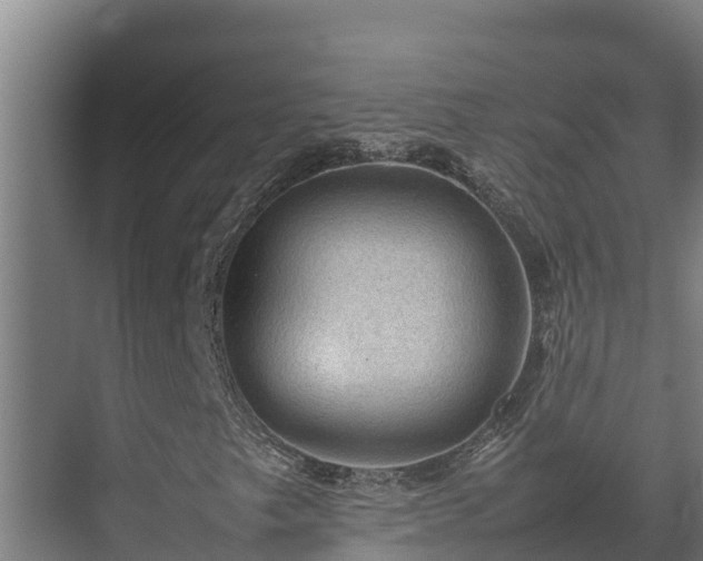 X0000075391249200609151745