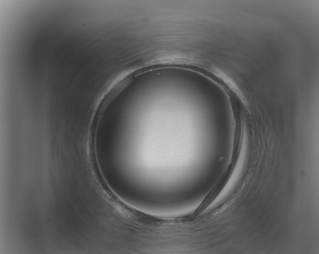 X0000075391277200609151745