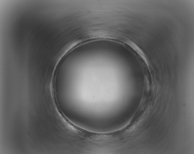 X0000075391293200609151745