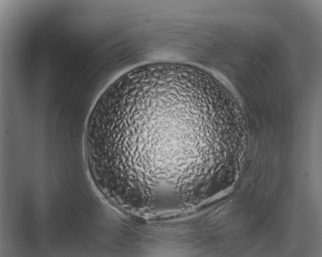 X0000075391295200609151745