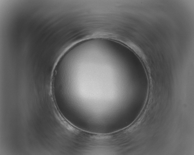 X0000075391296200609151745