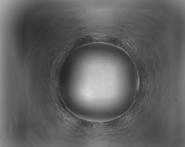 X0000075391345200609151744