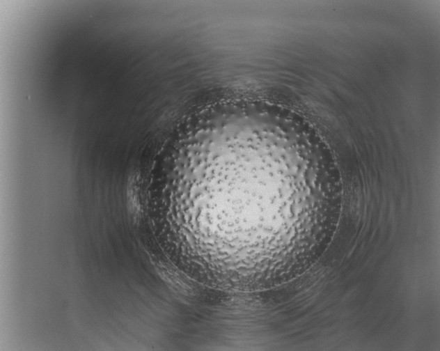 X0000075391346200609151744