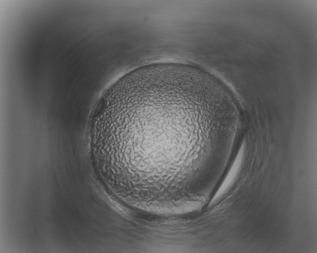 X0000075391367200609151743