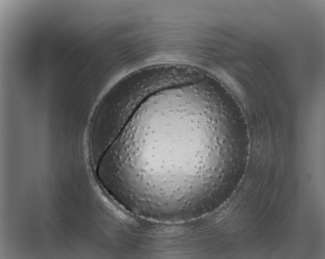 X0000075391382200609151743