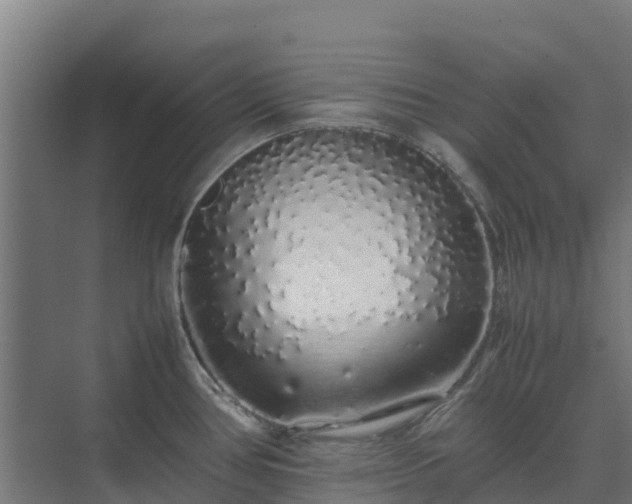 X0000075391386200609151743