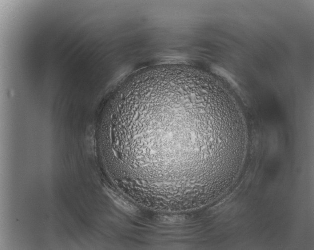 X0000075391403200609151742