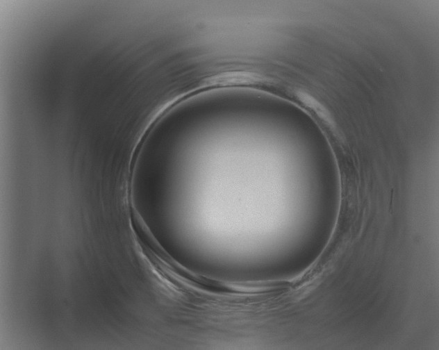 X0000075391473200609151742
