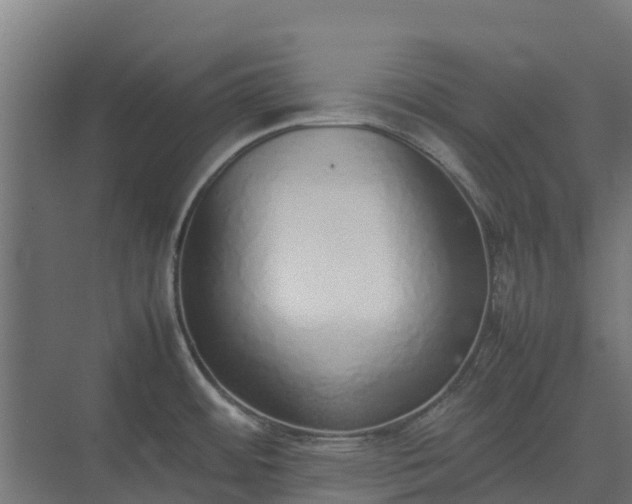 X0000075391484200609151741