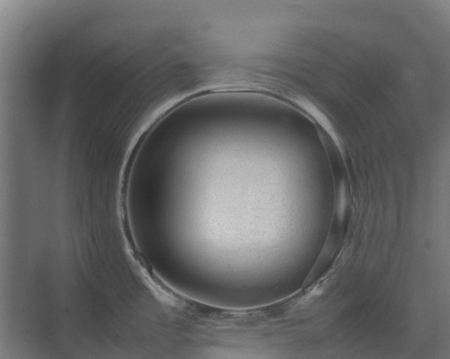 X0000075391485200609151741