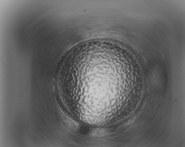 X0000075391497200609151741
