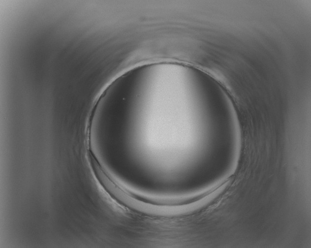 X0000075391524200609151741