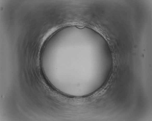 X0000075390008200609251229