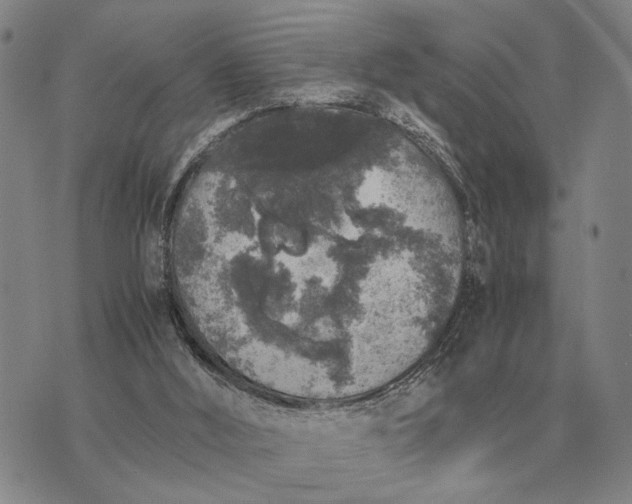 X0000075390012200609251229