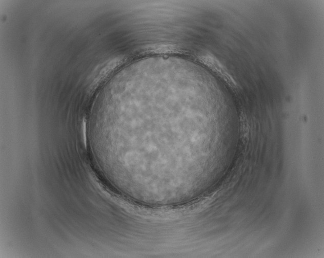 X0000075390014200609251229