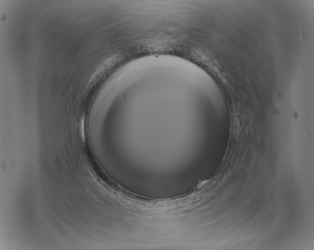 X0000075390019200609251229