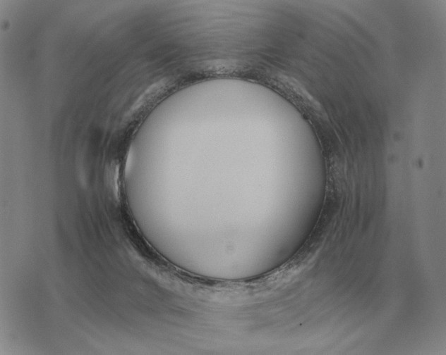 X0000075390024200609251229
