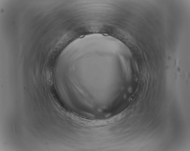X0000075390031200609251229