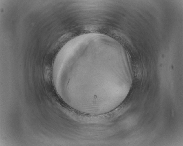 X0000075390036200609251229