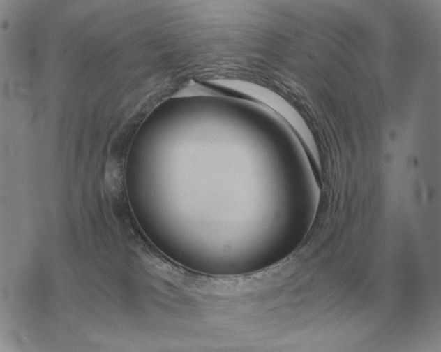 X0000075390037200609251229