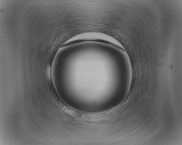 X0000075390041200609251229