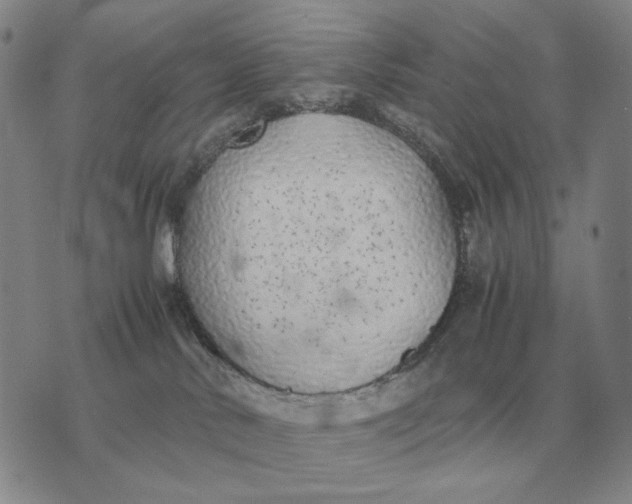 X0000075390042200609251229