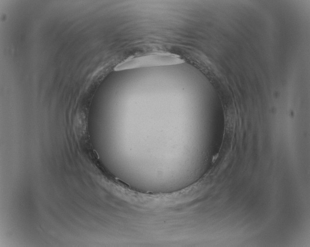 X0000075390043200609251229