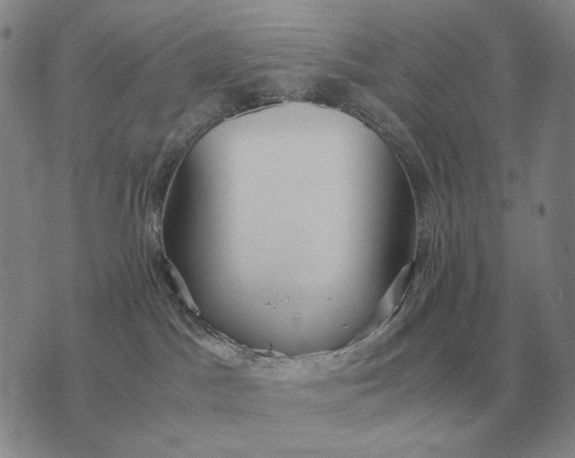 X0000075390045200609251229