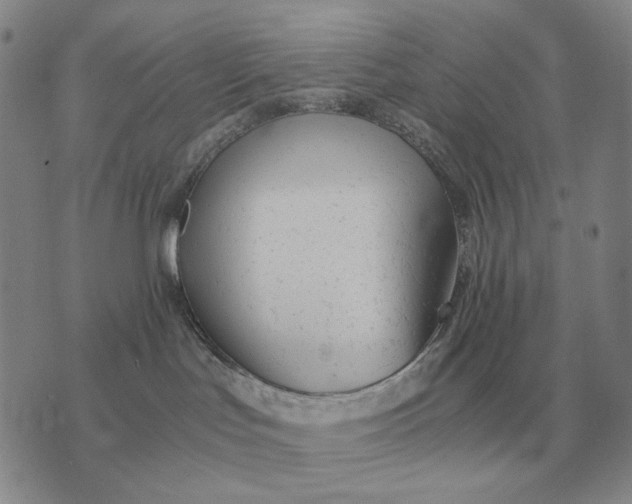 X0000075390047200609251229