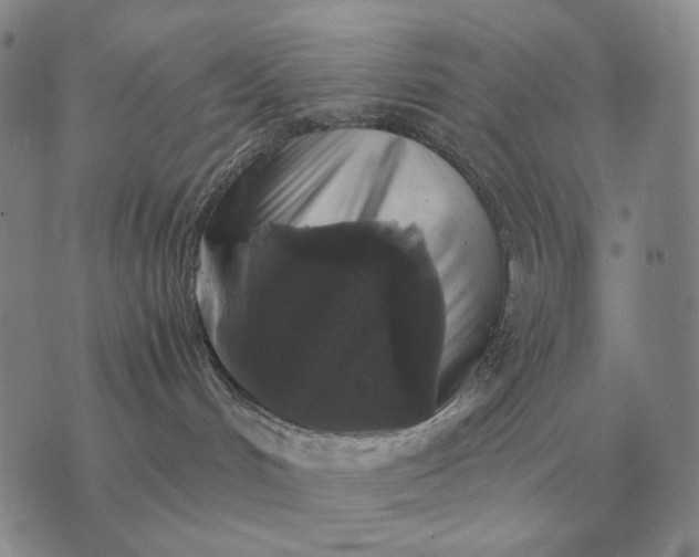 X0000075390048200609251229
